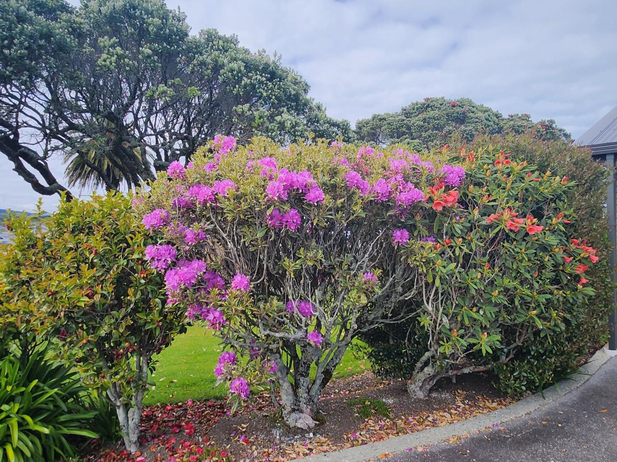 Asure Gables Motor Lodge Greymouth Εξωτερικό φωτογραφία